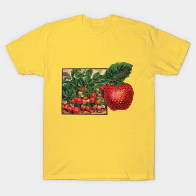 Vintage Strawberries T-Shirt by MasterpieceCafe